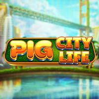 Pig City Life in All41