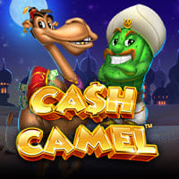 Cash Camel in iSoftbet