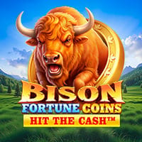 Bison Fortune Coins in Sub_New