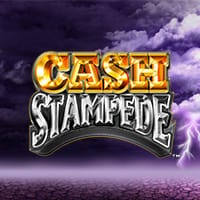 Cash Stampede in lightandwonder