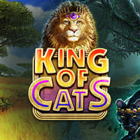 King of Cats in Big Time Gaming