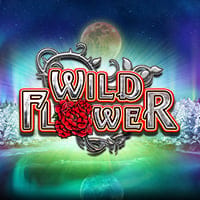 Wild Flower in Big Time Gaming
