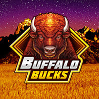 Buffalo Bucks in oryx