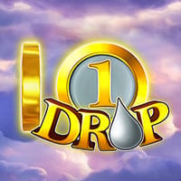 1 Drop in spinberry
