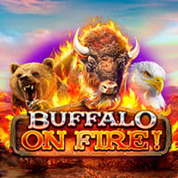 Buffalo on fire in RedRake