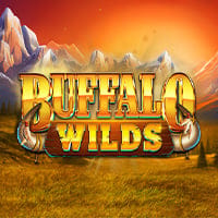 Buffalo Wilds in spinberry