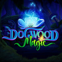 Dogwood Magic in Pariplay