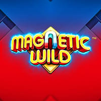 Magnetic Wild in Sub_New
