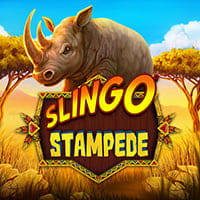 Slingo Stampede in Sub_New