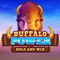 Buffalo Power: Hold and Win in playson