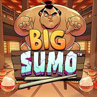 Big Sumo in PlayTech