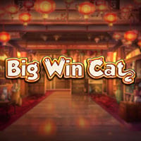 Big Win Cat in PlayNGo