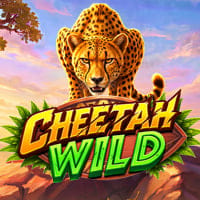 Cheetah Wild in Sub_New