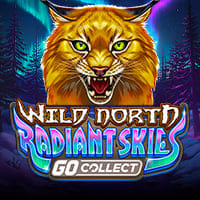 Wild North Radiant Skies GO Collect in Sub_New